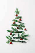 stock-photo-top-view-pine-branches-arranged.jpg